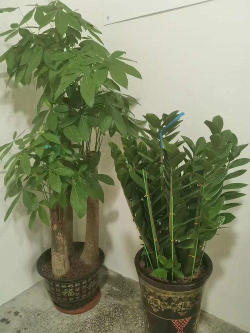 1644462387118701.jpg 微信圖片_20220210105512.jpg